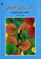 پاورپوینت فصل نهم کتاب آسیب شناسی اجتماعی (سرقت) نوشته هدایت الله ستوده